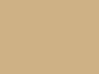 RALl_1001 Beige