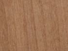 ciliegio america